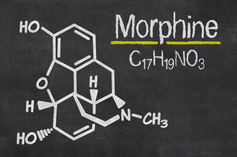 Imagen: fórmula química de la morfina. Zerbor / Shutterstock